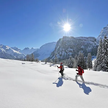 Terrace 3* Engelberg